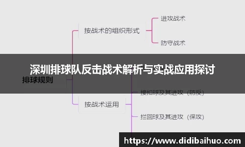 深圳排球队反击战术解析与实战应用探讨